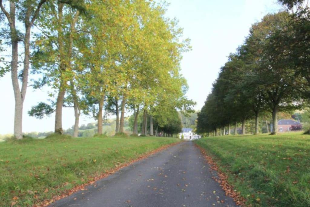 La Maisonnette Saint-Pierre-en-Auge Exteriör bild
