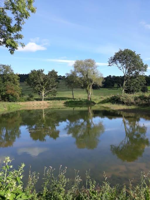 La Maisonnette Saint-Pierre-en-Auge Exteriör bild